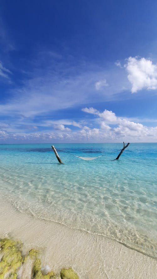 A serene empty hammock on a quiet shoreline, evoking calm and relaxation ideal for meditation and stress relief.